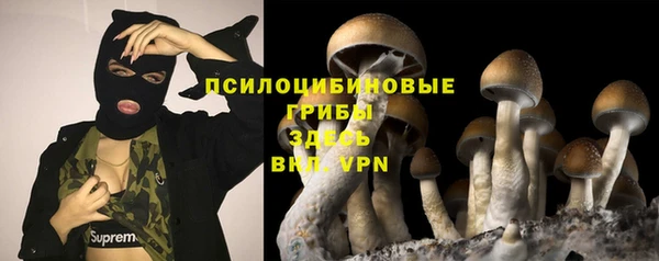 apvp Абаза